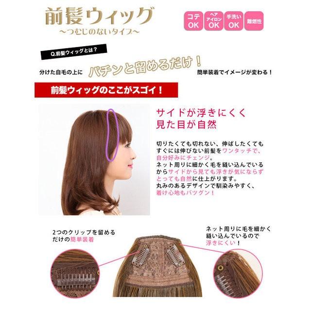 プリシラ ウィッグ 前髪ウィッグ FX-05 サイドありちゃん 仕様