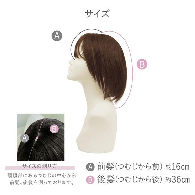 人毛100% ウィッグ 人毛100%五分ウィッグ ロング プリシラ 人毛100% ウィッグ 人毛100%五分ウィッグ ロング プリシラ