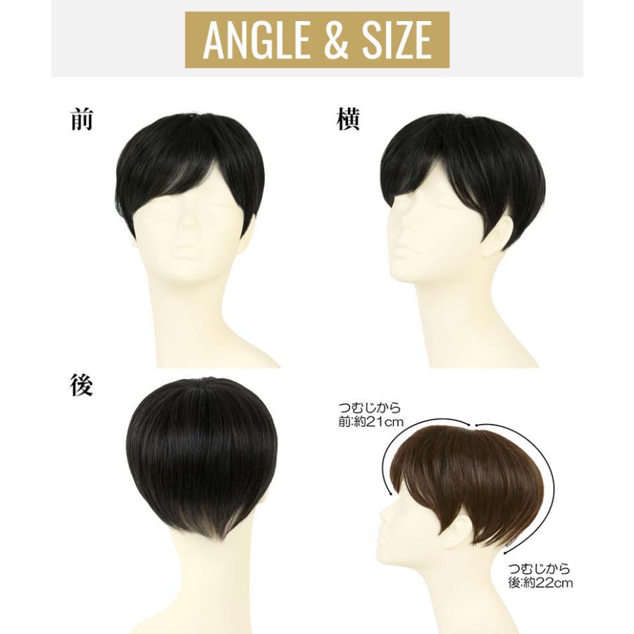 かつら ウィッグ 部分 男性用 頭頂部 薄毛 円形脱毛症 隠す メンズ 白髪 五分ウィッグ ミディアムショート プリシラ（GB-24）の画像