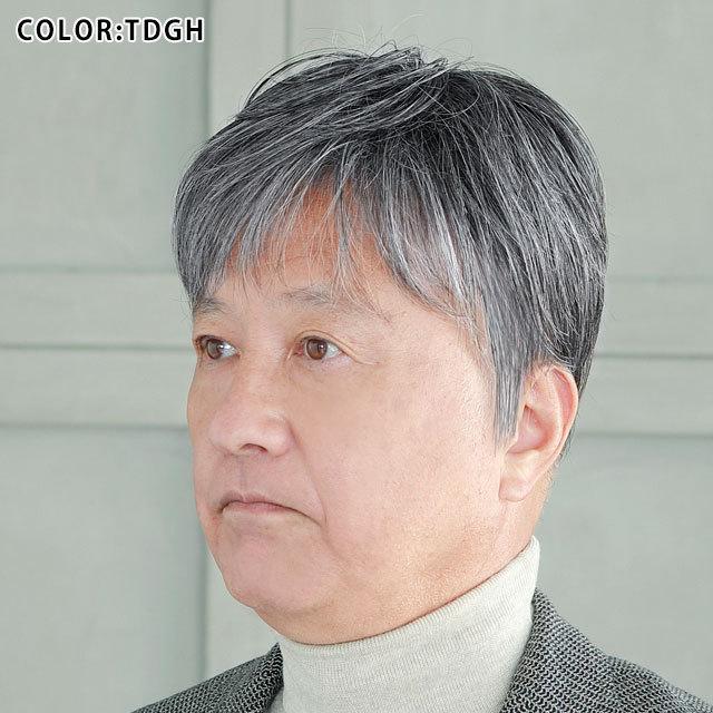 かつら ウィッグ 部分 男性用 頭頂部 薄毛 円形脱毛症 隠す メンズ 白髪 五分ウィッグ ミディアムショート プリシラ（GB-24）の画像