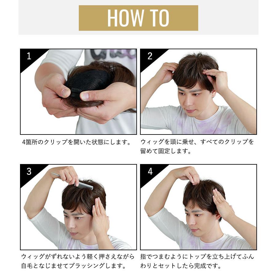 かつら ウィッグ 部分 男性用 頭頂部 薄毛 円形脱毛症 隠す メンズ 白髪 五分ウィッグ ミディアムショート プリシラ（GB-24）の画像