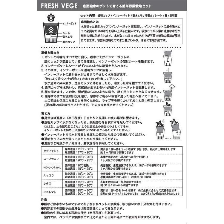 フレッシュハーブ ミント 聖新陶芸 ガーデニング 植物 野菜 ハーブ 種 栽培キット 園芸 室内 インテリア グリーン ギフト 景品 プレゼント Gd 363 01 ウィッグランド 通販 Yahoo ショッピング