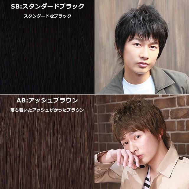メンズウィッグ プリシラマン MA-100 スタイリッシュショート 送料無料