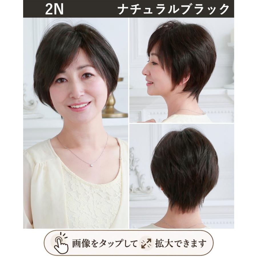 新色発売】ヘアピース耐熱 白髪隠しウィッグ (分け目タイプ) ウイッグ