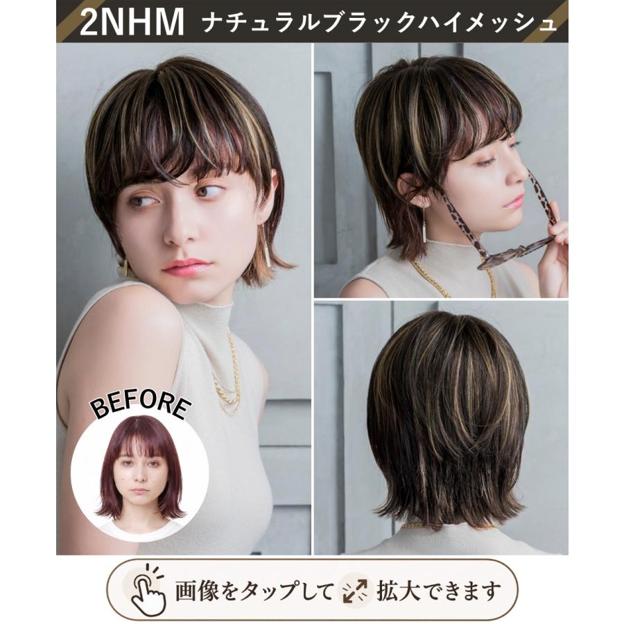 新色発売】ヘアピース耐熱 白髪隠しウィッグ (分け目タイプ) ウイッグ