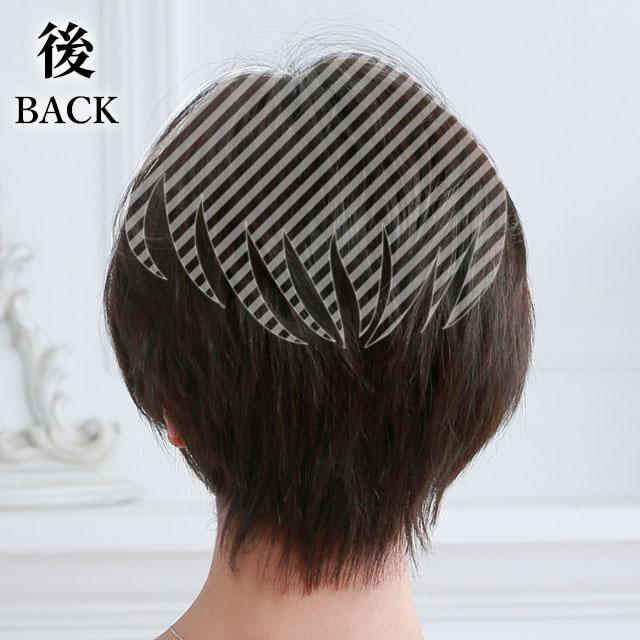 ヘアピース耐熱 白髪隠しウィッグ (分け目タイプ) ウイッグ ST ヘアピース耐熱 白髪隠しウィッグ (分け目タイプ) ウイッグ ST