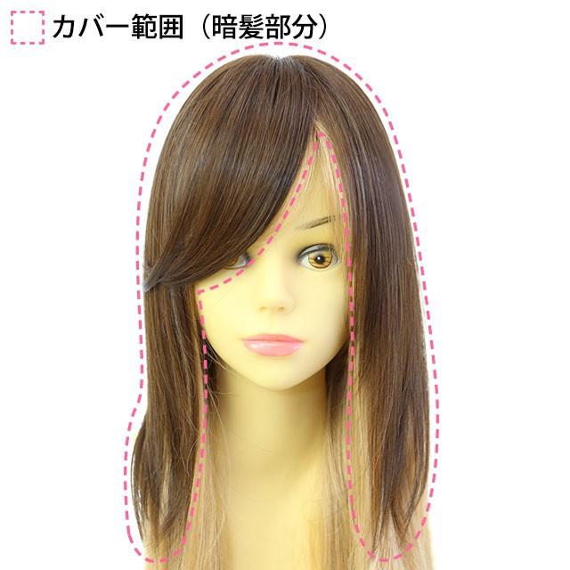 ヘアピース耐熱 白髪隠しウィッグ 広範囲ストレートロングタイプ ウイッグ St 008 薄毛隠し カバーピース St 008 ウィッグランド 通販 Yahoo ショッピング