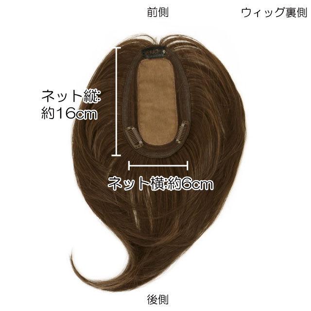 ヘアピース耐熱 プレミアム白髪隠しウィッグ (広範囲ワンレンロング