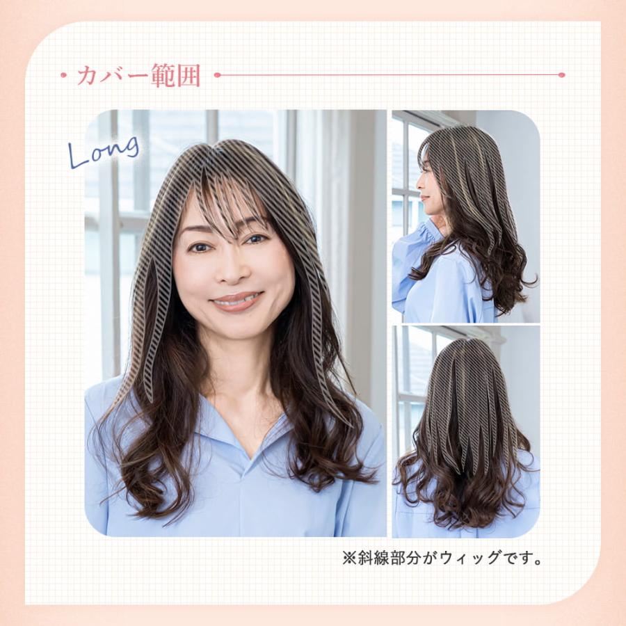 【新色発売】白髪隠し ウィッグ 部分ウィッグ ヘアピース プリシラ ちょびっと白髪隠しウィッグ ロング/スタンダード ST-012 ST-012L |  | 14