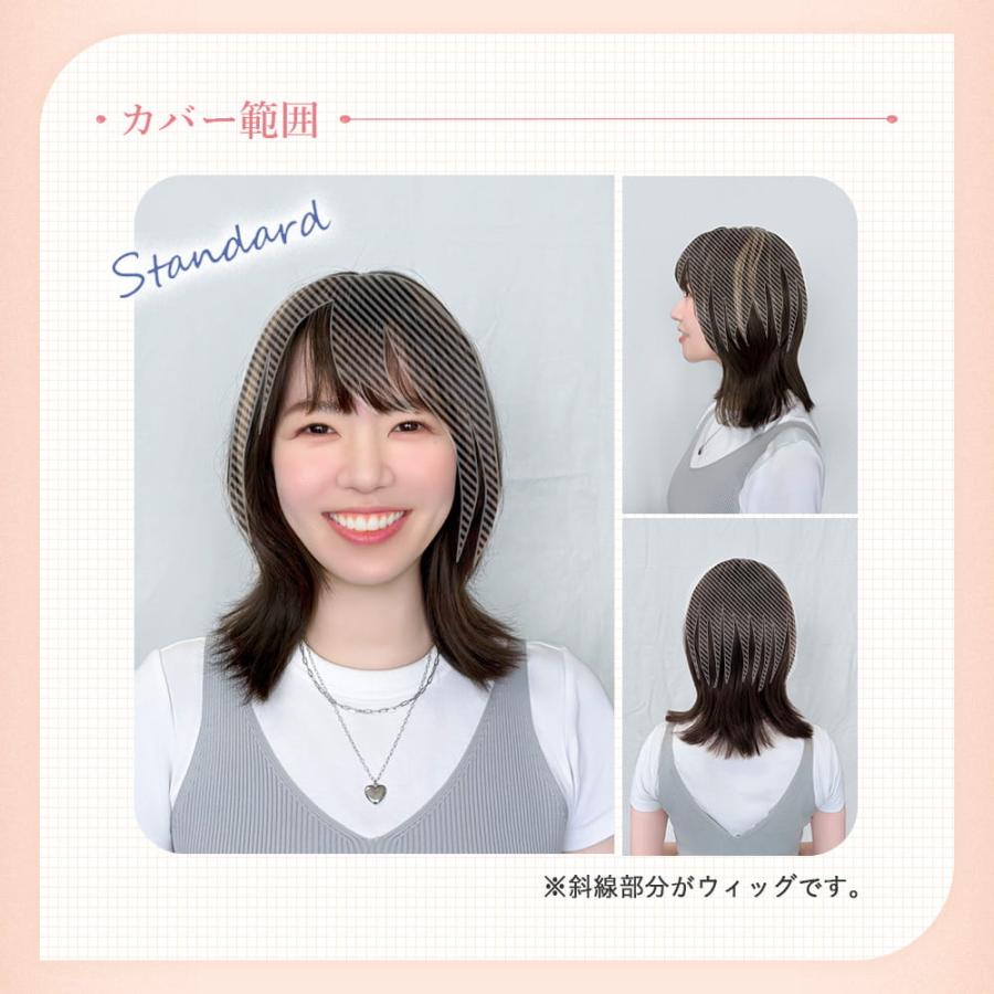 【新色発売】白髪隠し ウィッグ 部分ウィッグ ヘアピース プリシラ ちょびっと白髪隠しウィッグ ロング/スタンダード ST-012 ST-012L |  | 15