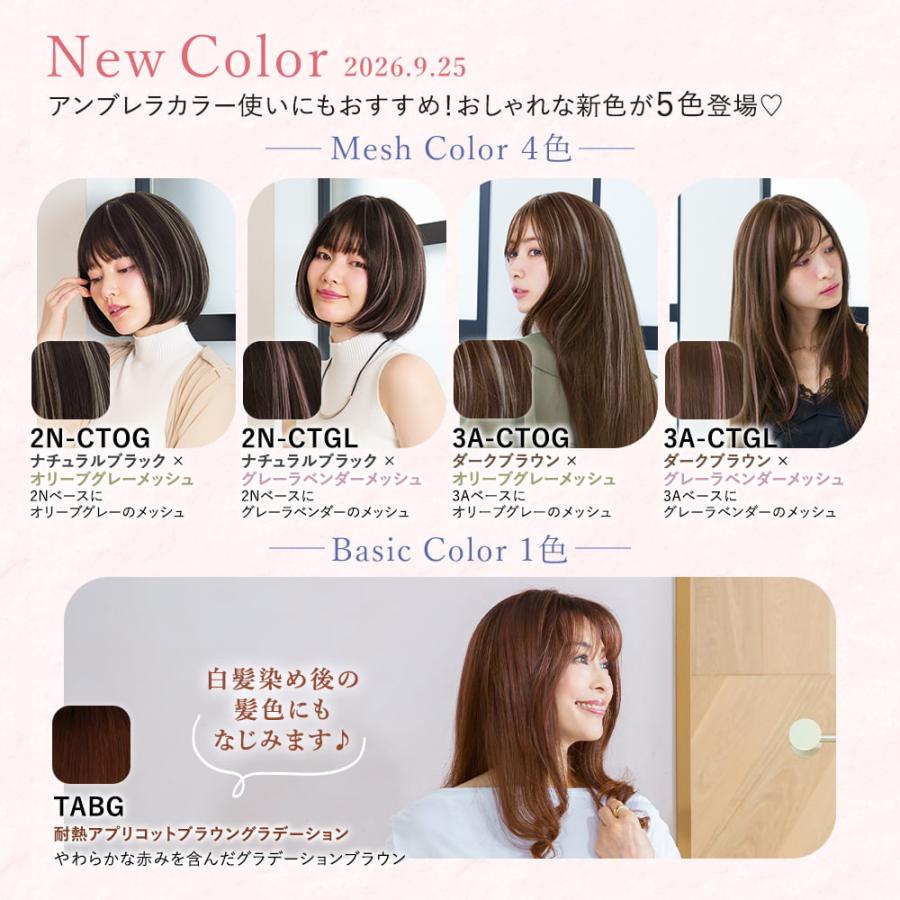 新色発売】白髪隠し ウィッグ 部分ウィッグ ヘアピース プリシラ
