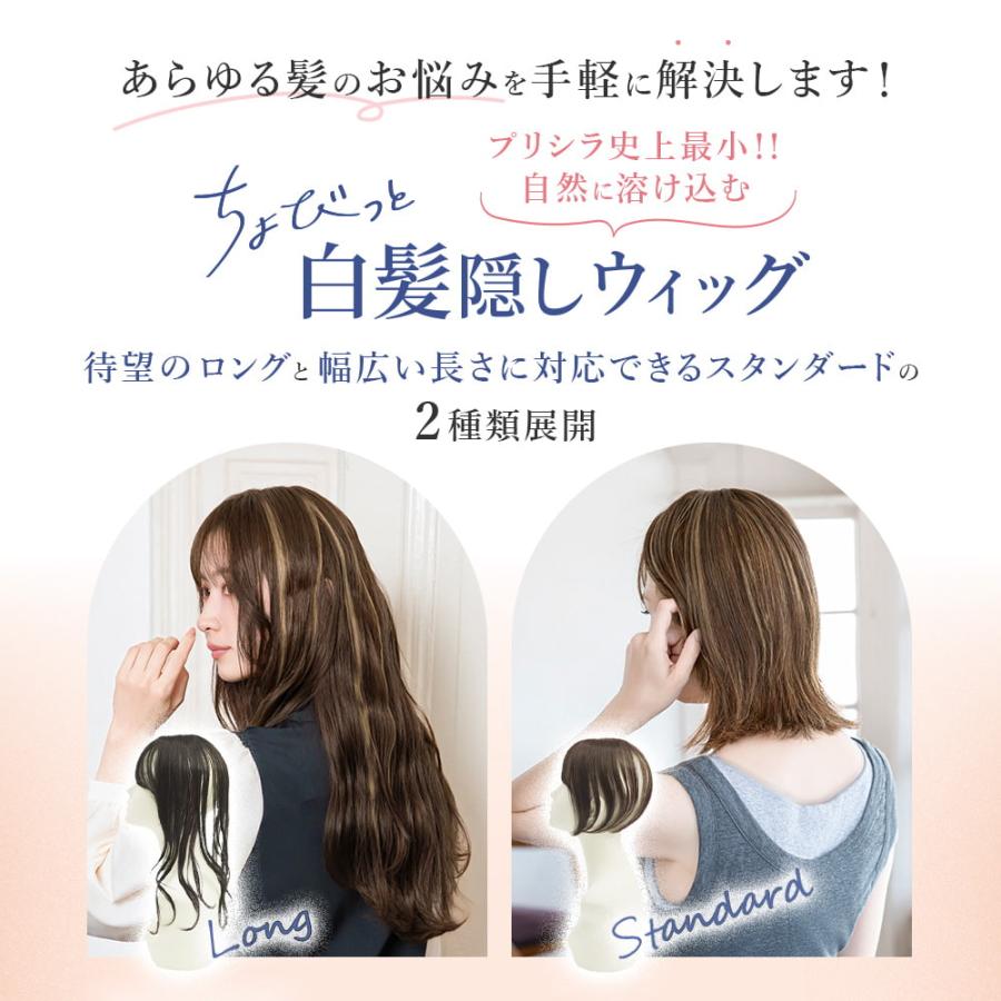 新色発売】白髪隠し ウィッグ 部分ウィッグ ヘアピース プリシラ