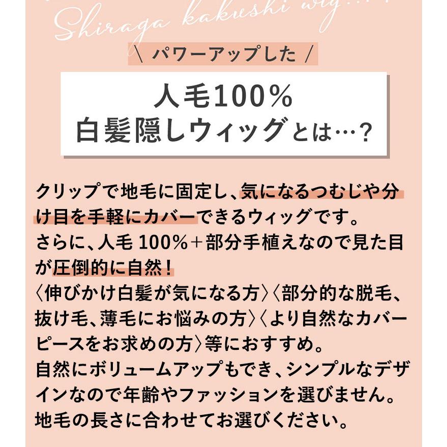 人毛100％ ヘアピース耐熱 白髪隠しウィッグ ロング ウイッグ ST-102 薄毛隠し カバーピース 部分手植え 軽くて自然の画像