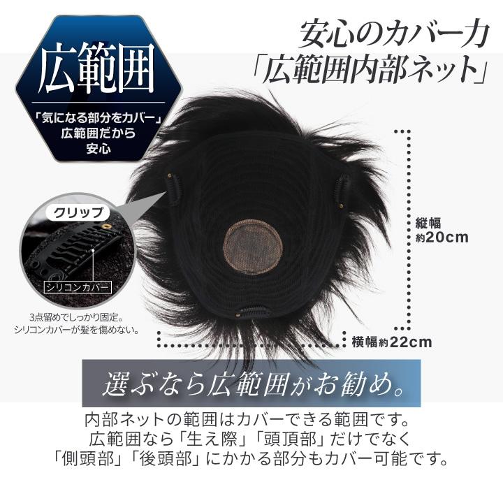 TefuRe（テフリ） 【白髪混の新色発売】メンズ 部分ウィッグ