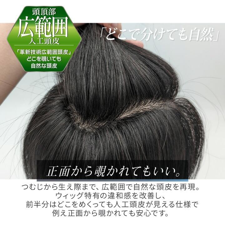 ウィッグ メンズ 人毛100％ フルウィッグ 男性用 「スタイリッシュ