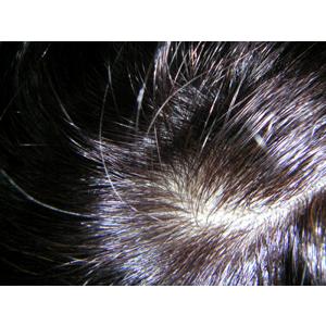 かつら ウィッグの修理 | 