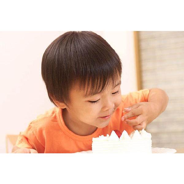 小学生以下のお子様用 部分かつら |  | 02