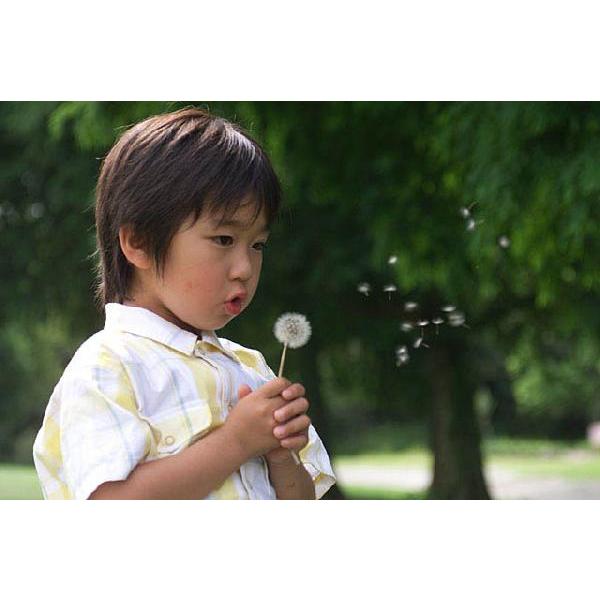 小学生以下のお子様用 部分かつら |  | 03