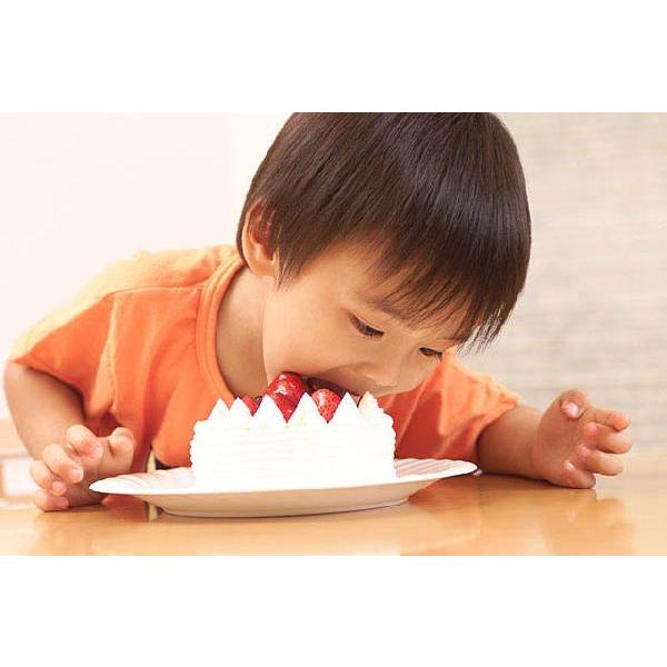 小学生以下のお子様用 部分かつら |  | 04