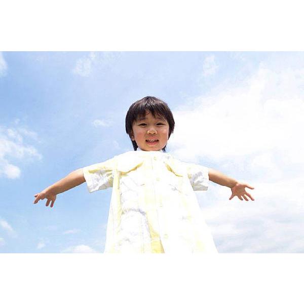 小学生以下のお子様用 部分かつら |  | 05