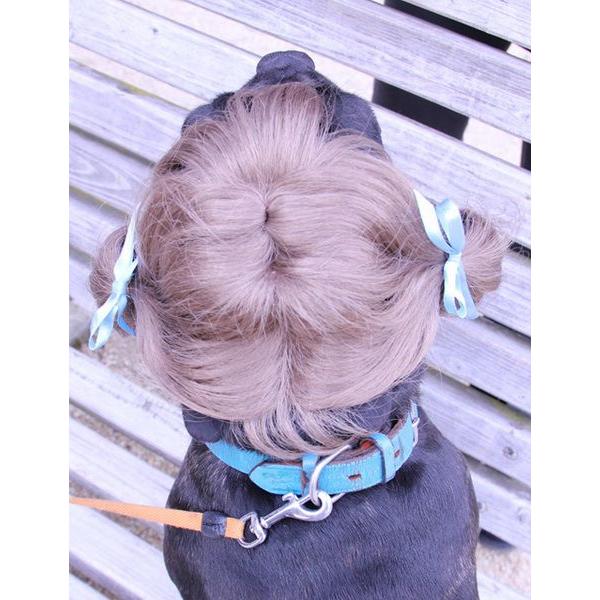 注目商品 オリジナル 動物用 犬 猫 ペットウィッグ かつら