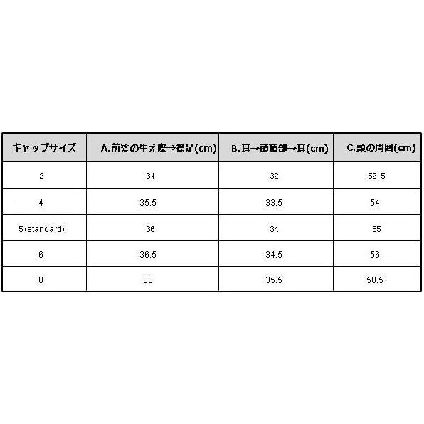 らんウィッグご確認ページ ジョーカーシルバー】ロングストレート【ウィッグ】【高品質