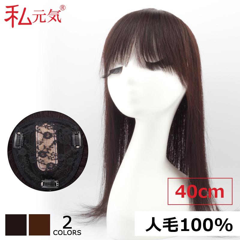 レビューで送料無料 人毛100 部分ウィッグ 前髪ウィッグ 人毛 ウィッグ かつら ポイントウィッグ 白髪かくし つけ毛 ロング 私元気 Bab1314 40 国産 Zoetalentsolutions Com