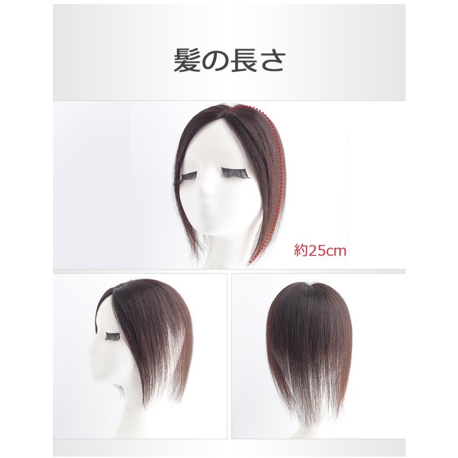 私元気 部分ウィッグ 全国カット 返品交換OK 大面積 10×12cm 人 私元気 部分ウィッグ 全国カット 返品交換OK 大面積 10×12cm 人
