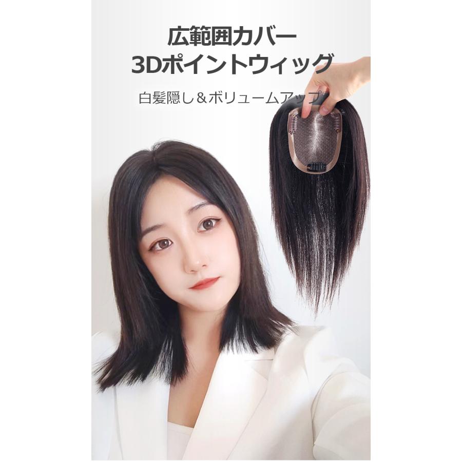 私元気 部分ウィッグ 全国カット 返品交換OK 大面積 10×12cm 人 私元気 部分ウィッグ 全国カット 返品交換OK 大面積 10×12cm 人
