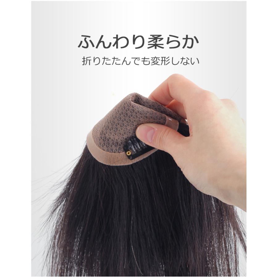 私元気 部分ウィッグ 全国カット 返品交換OK 大面積 10×12cm 人 私元気 部分ウィッグ 全国カット 返品交換OK 大面積 10×12cm 人