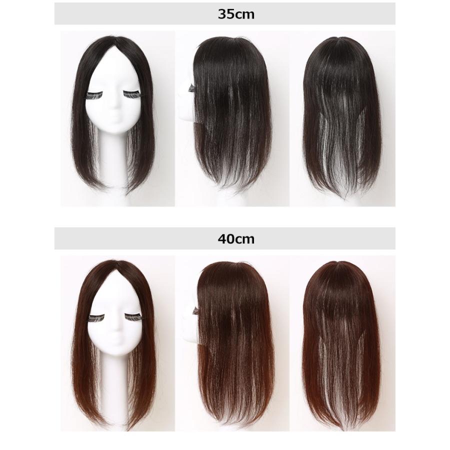 私元気 人毛 部分ウィッグ【20cm】 人毛 ウィッグ つむじ ヘアピース 茶色 私元気 人毛 部分ウィッグ【20cm】 人毛 ウィッグ つむじ ヘアピース
