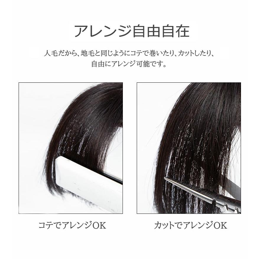 私元気 人毛 ウイッグ 部分ウィッグ ポイントウィッグ 10cm