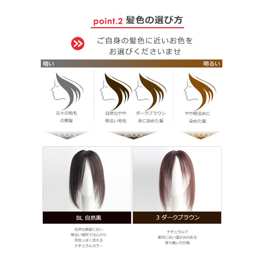 部分ウィッグ 全国カット 返品交換OK 大面積 10×12cm 自然 通気性 分け目自由 人毛 総手植え 白髪かくし 25cm 薄毛 トップカバー 頭頂部 私元気 BHADS1012-25の画像