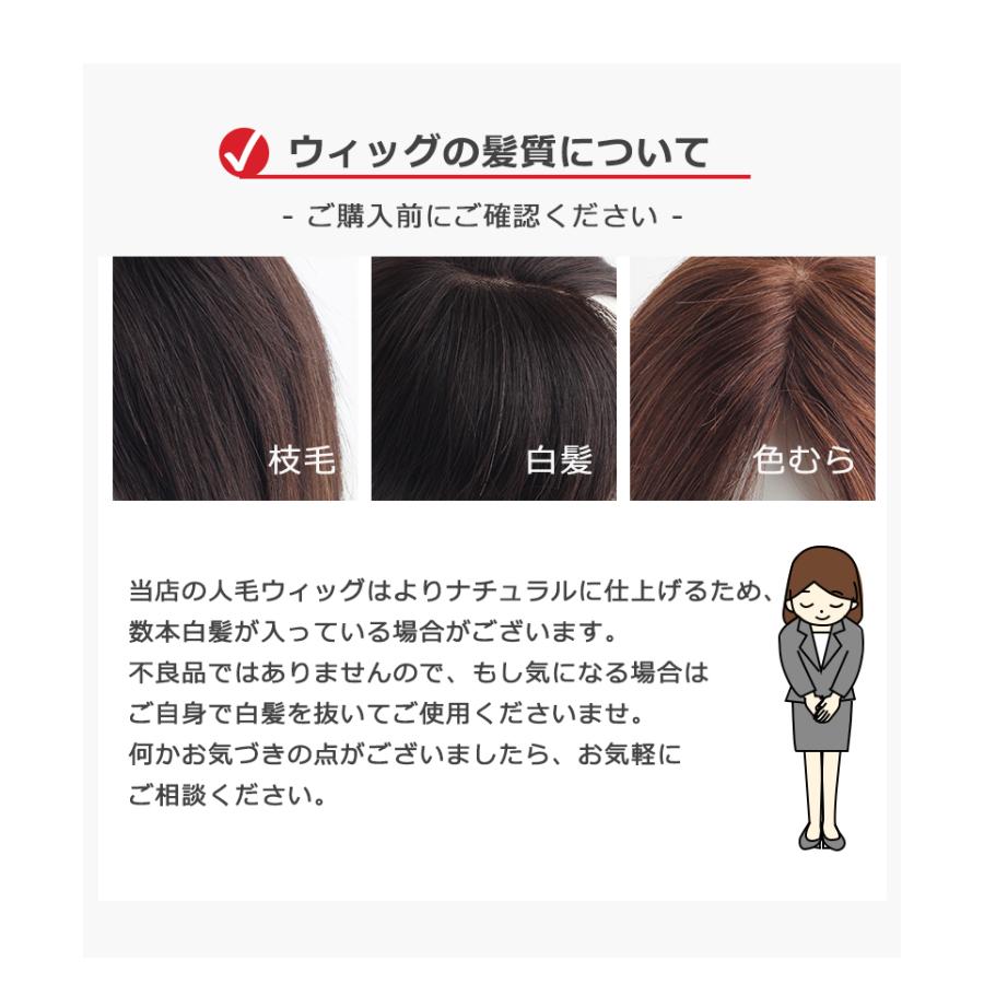 部分ウィッグ 全国カット 返品交換OK 大面積 10×12cm 自然 通気性 分け目自由 人毛 総手植え 白髪かくし 25cm 薄毛 トップカバー 頭頂部 私元気 BHADS1012-25の画像