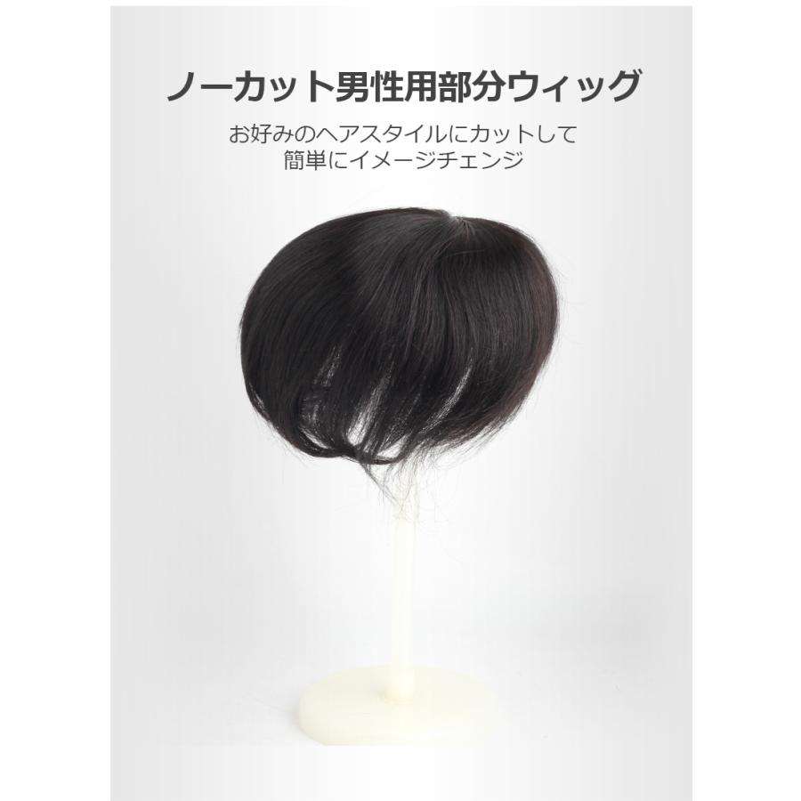 私元気 メンズ用 人毛 総手植え トップカバー 部分ウィッグ メンズ