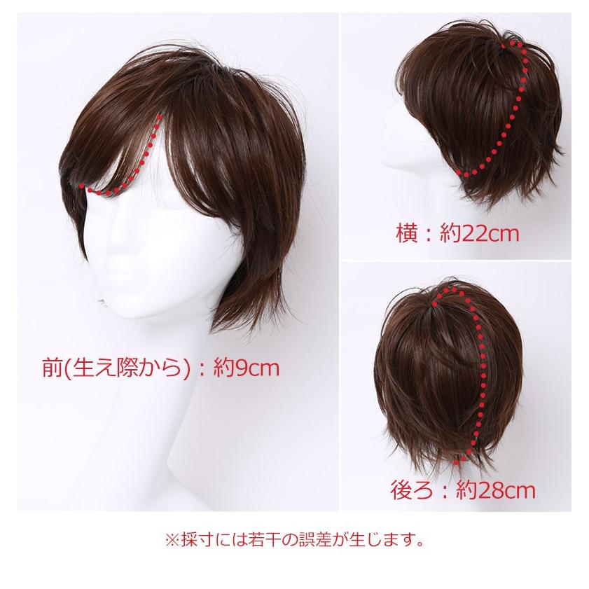 医療用ウィッグ 返品交換OK 人毛 ウィッグ ショート フルウィッグ 女性 かつら 私元気 IUH30S20の画像