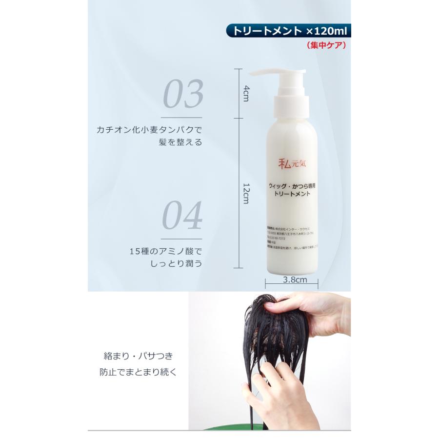 ウィッグ お手入れセット ウィッグ専用 シャンプー トリートメント