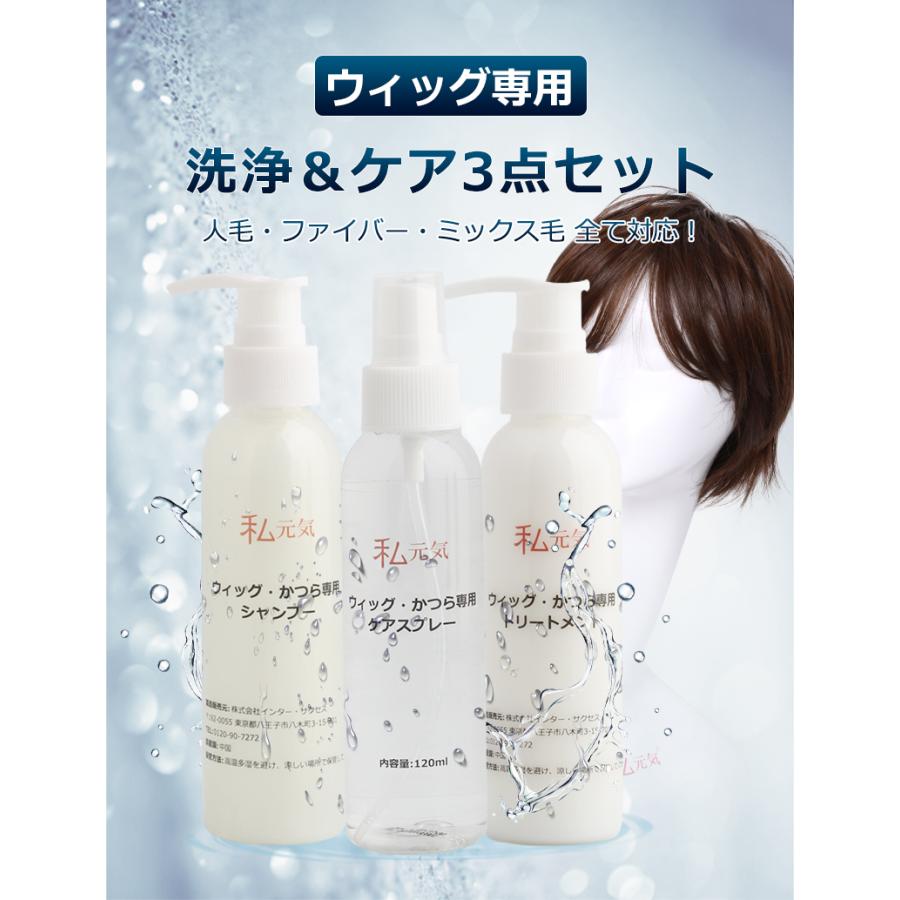 ウィッグ お手入れセット ウィッグ専用 シャンプー トリートメント