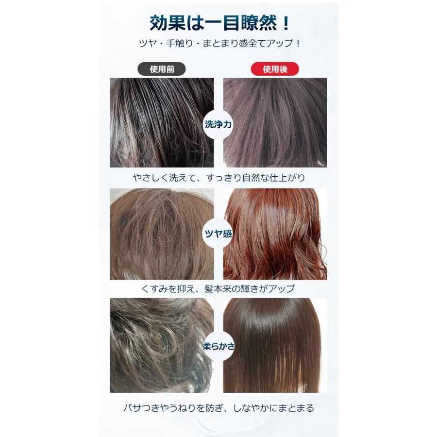 ウィッグ お手入れセット ウィッグ専用 シャンプー トリートメント