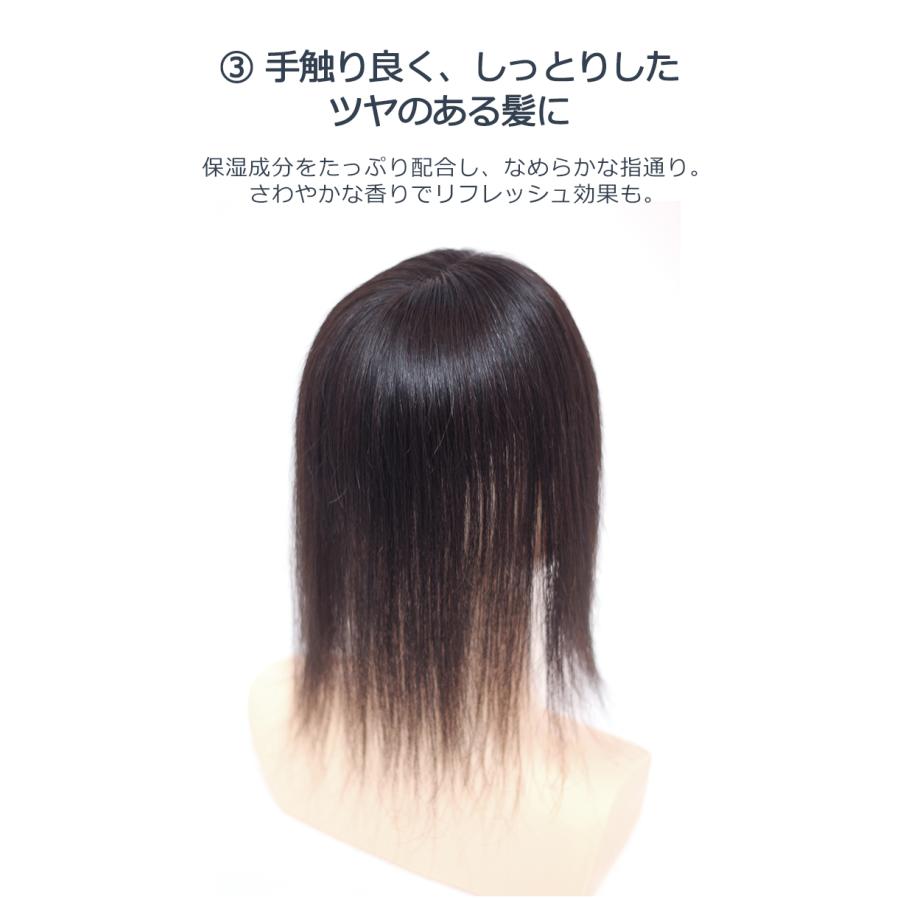 ウィッグ お手入れセット ウィッグ専用 シャンプー トリートメント