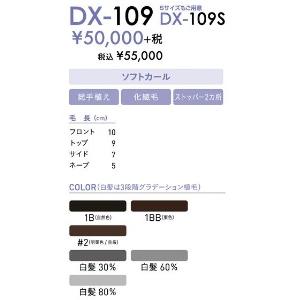 レオンカDX-109S_4