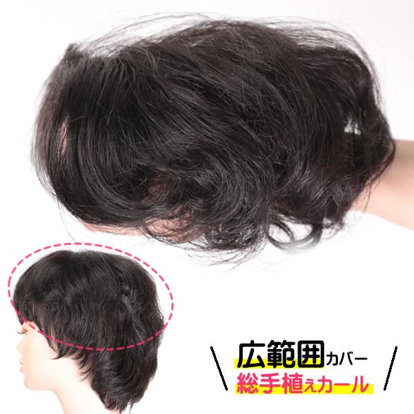 部分 ウィッグ ミセス 自然 薄毛 脱毛症 白髪隠し 増毛 分け目 つむじ ヘアピース 女性用 かつら 薄毛隠し 小顔 広範囲カバー 穴あき カール tk3-curl 3003 | ブランド登録なし