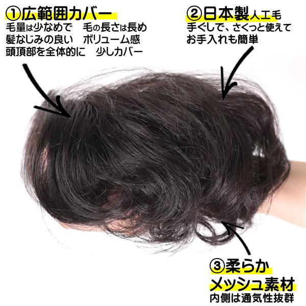 部分 ウィッグ ミセス 自然 薄毛 脱毛症 白髪隠し 増毛 分け目 つむじ ヘアピース 女性用 かつら 薄毛隠し 小顔 広範囲カバー 穴あき カール tk3-curl 3003 | ブランド登録なし | 02