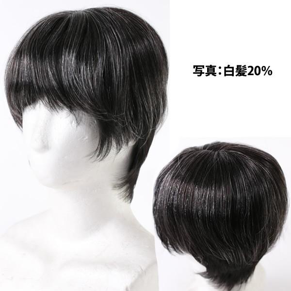 男性用 カツラ メンズウィッグ ヘアピース 白髪 しらが メンズ
