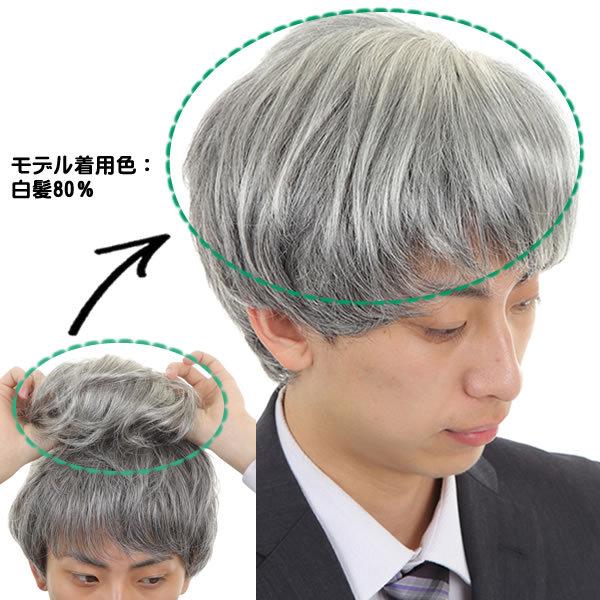 新品　カット調整済み　白髪2％　人毛　24X21㎝　男性部分　かつら 男性用 カツラ メンズウィッグ ヘアピース 白髪 しらが メンズ 部分