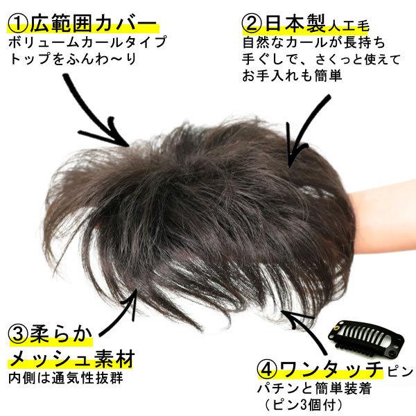 部分 ウィッグ ミセス 自然 薄毛 脱毛症 白髪隠し 増毛 分け目 つむじ ヘアピース 女性用 かつら 脱毛 トップウィッグ 薄毛隠し 小顔 広範囲カバー 6415setの画像