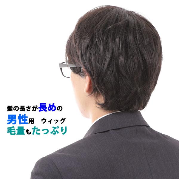 ウィッグ メンズ しらが 白髪 医療用 男性かつら 医療用ウィッグ フルウィッグ オールウィッグ カバー 薄毛対策  装着用ネットの画像