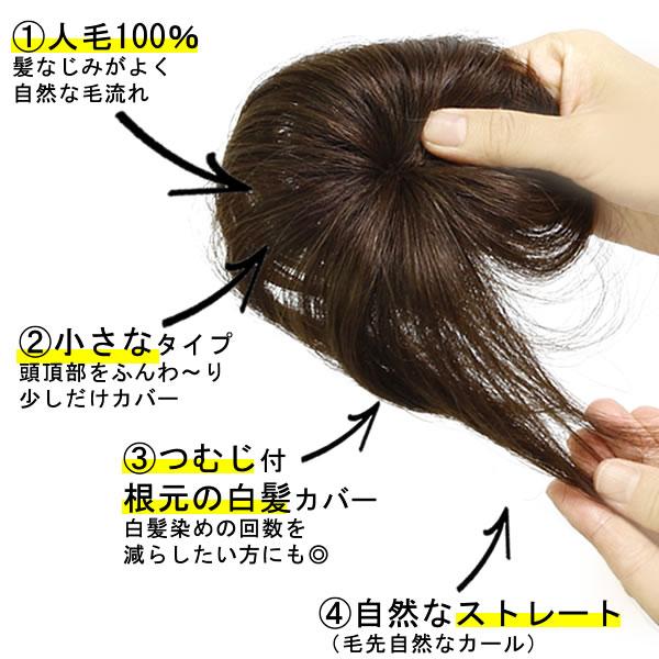 ウィッグ 部分ウィッグ ヘアピース 人毛100% 円形脱毛症 かつら ウィッグ 部分ウィッグ ヘアピース 人毛100% 円形脱毛症 かつら