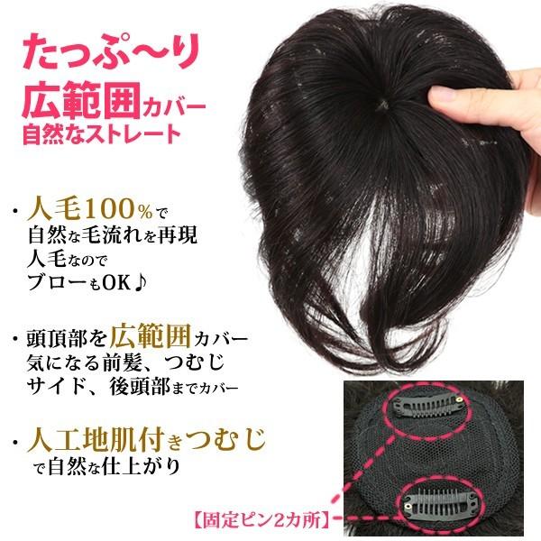 残りわずか 在庫限り超価格 人毛100 ヘアピース 部分ウィッグ かつら 白髪隠し 人気ブランド Www Dialuk Info