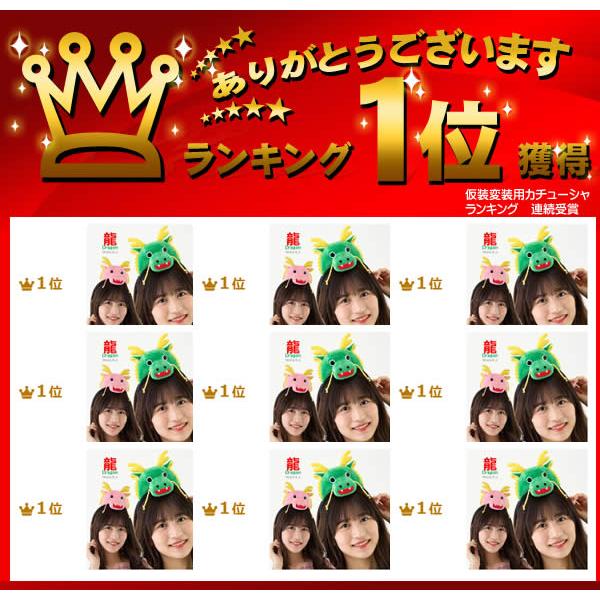 龍 竜りゅう リュウ ドラゴン 辰年 着ぐるみ ヘッド コスプレ